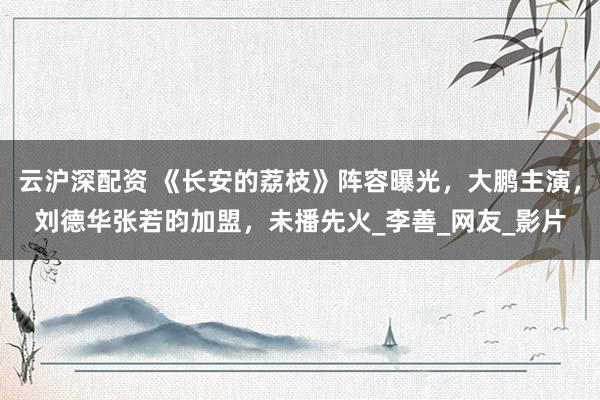 云沪深配资 《长安的荔枝》阵容曝光，大鹏主演，刘德华张若昀加盟，未播先火_李善_网友_影片