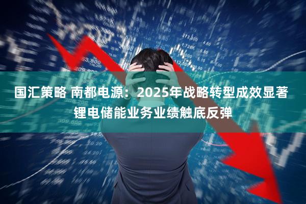 国汇策略 南都电源：2025年战略转型成效显著 锂电储能业务业绩触底反弹