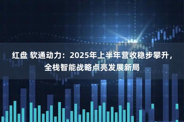 红盘 软通动力：2025年上半年营收稳步攀升，全栈智能战略点亮发展新局