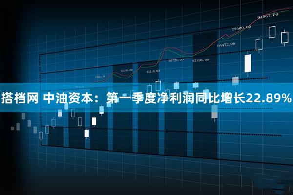 搭档网 中油资本：第一季度净利润同比增长22.89%